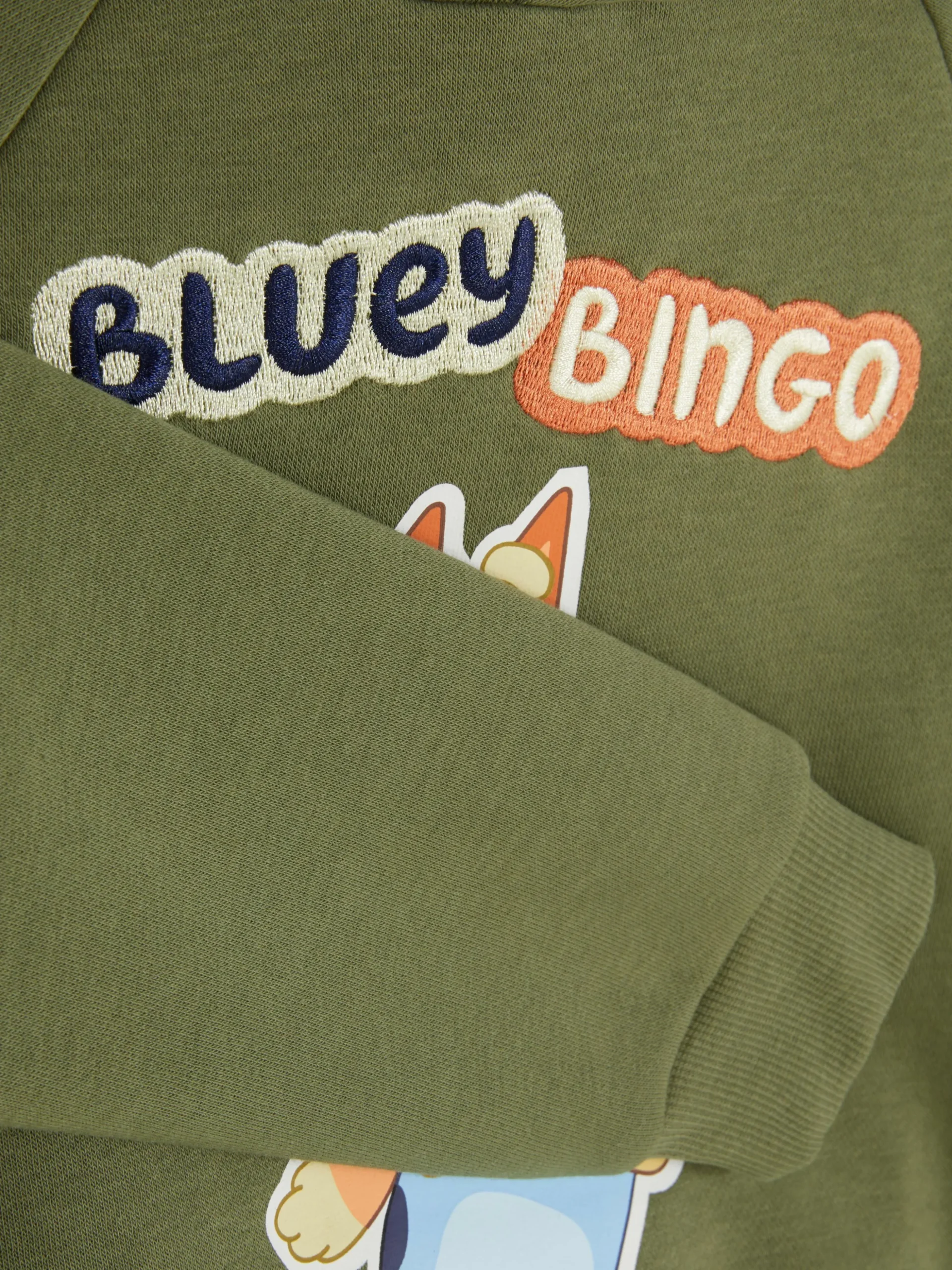 Bluey Graphic Hoodie Set