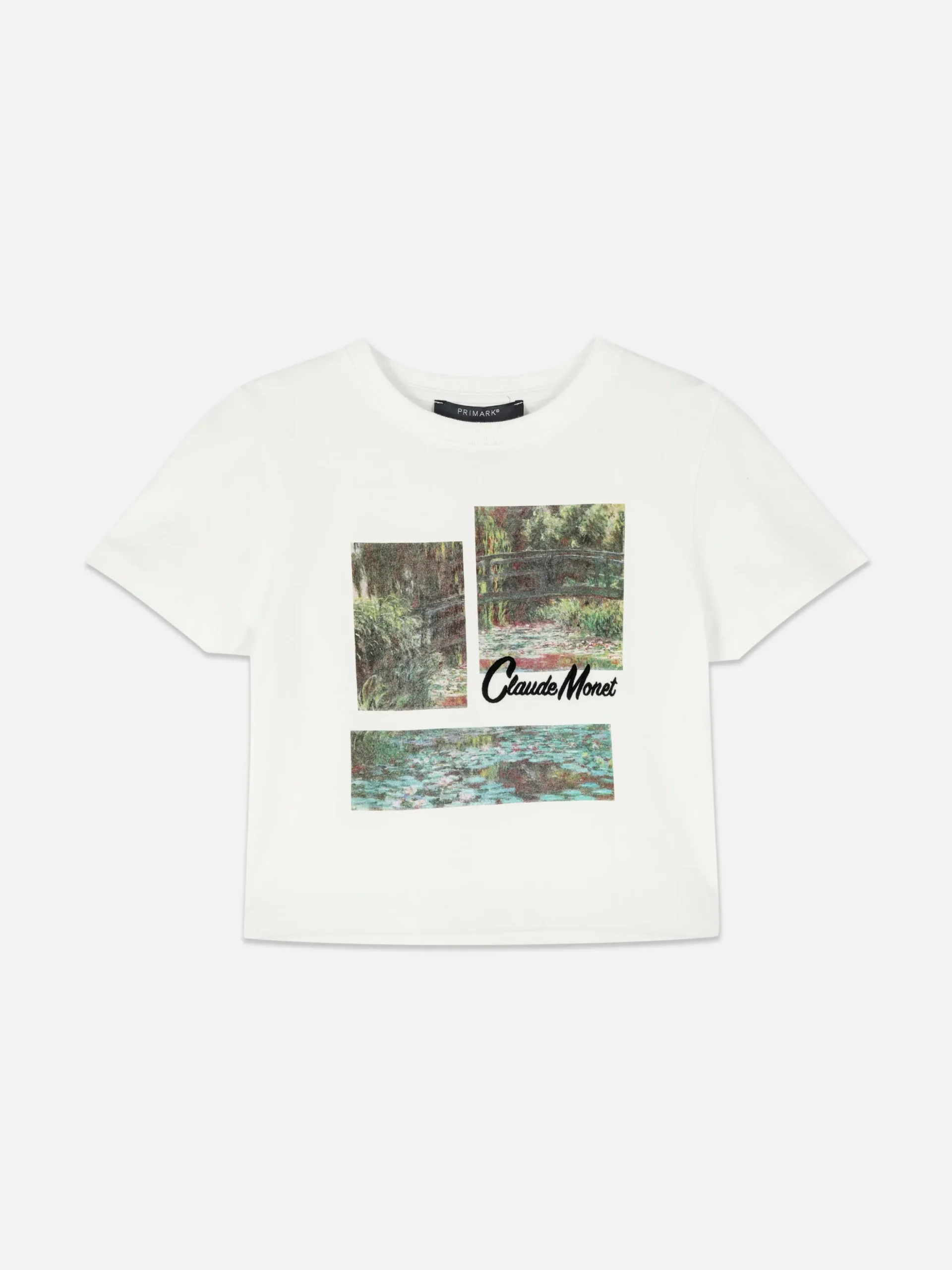 Claude Monet Graphic Cropped T-Shirt