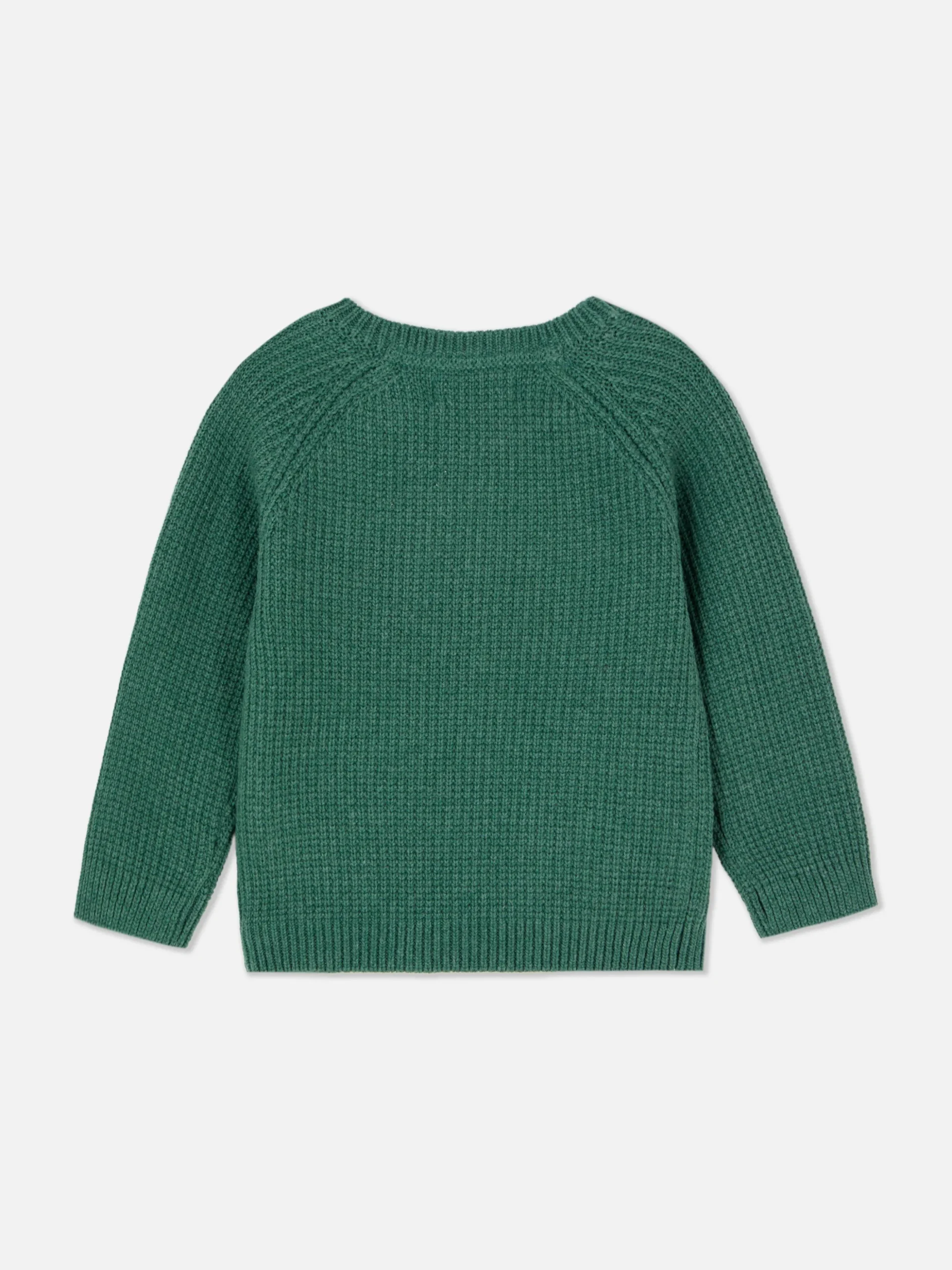 Dinosaur Sweater