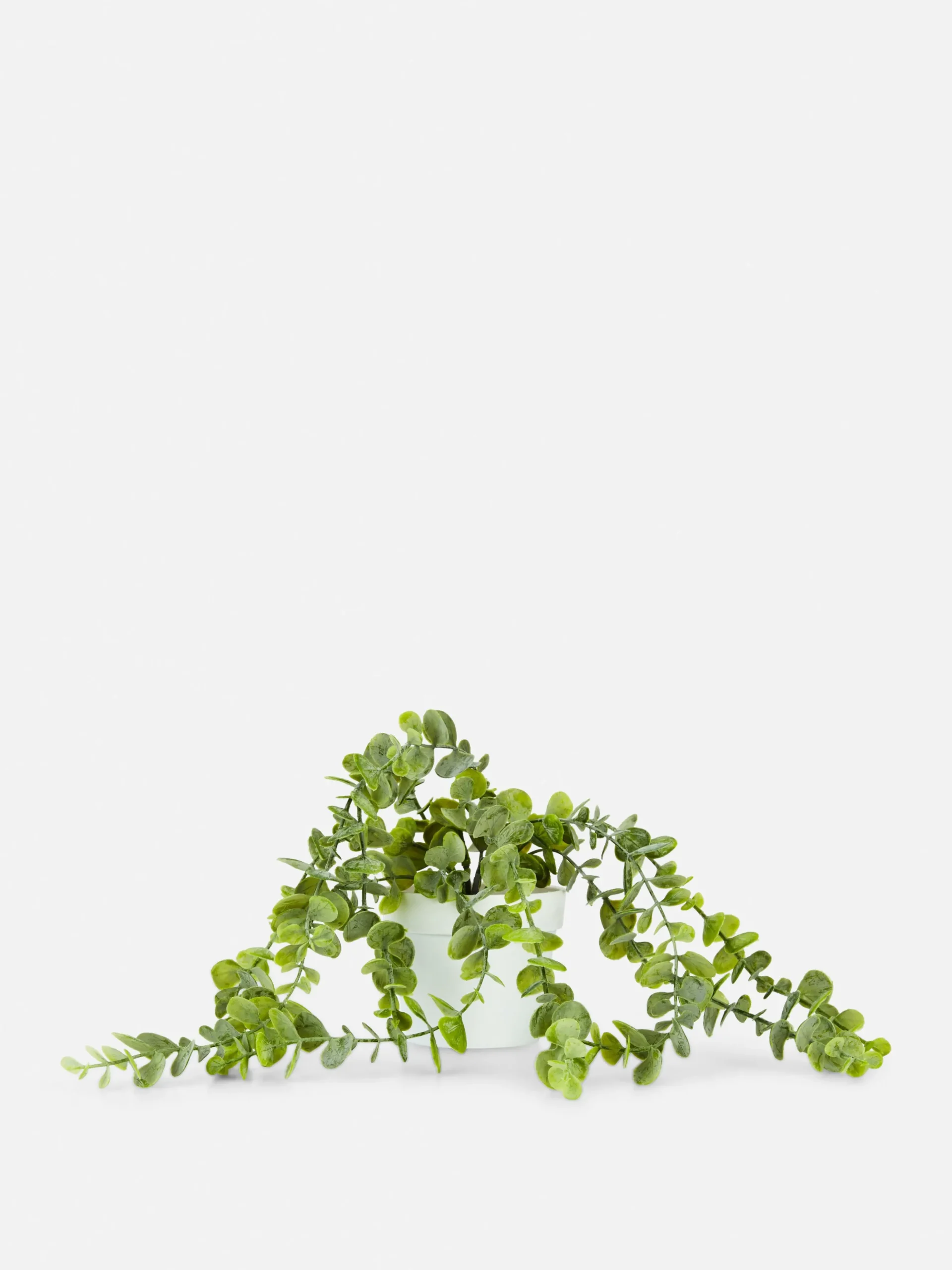 Faux Trailing Plant In Pot