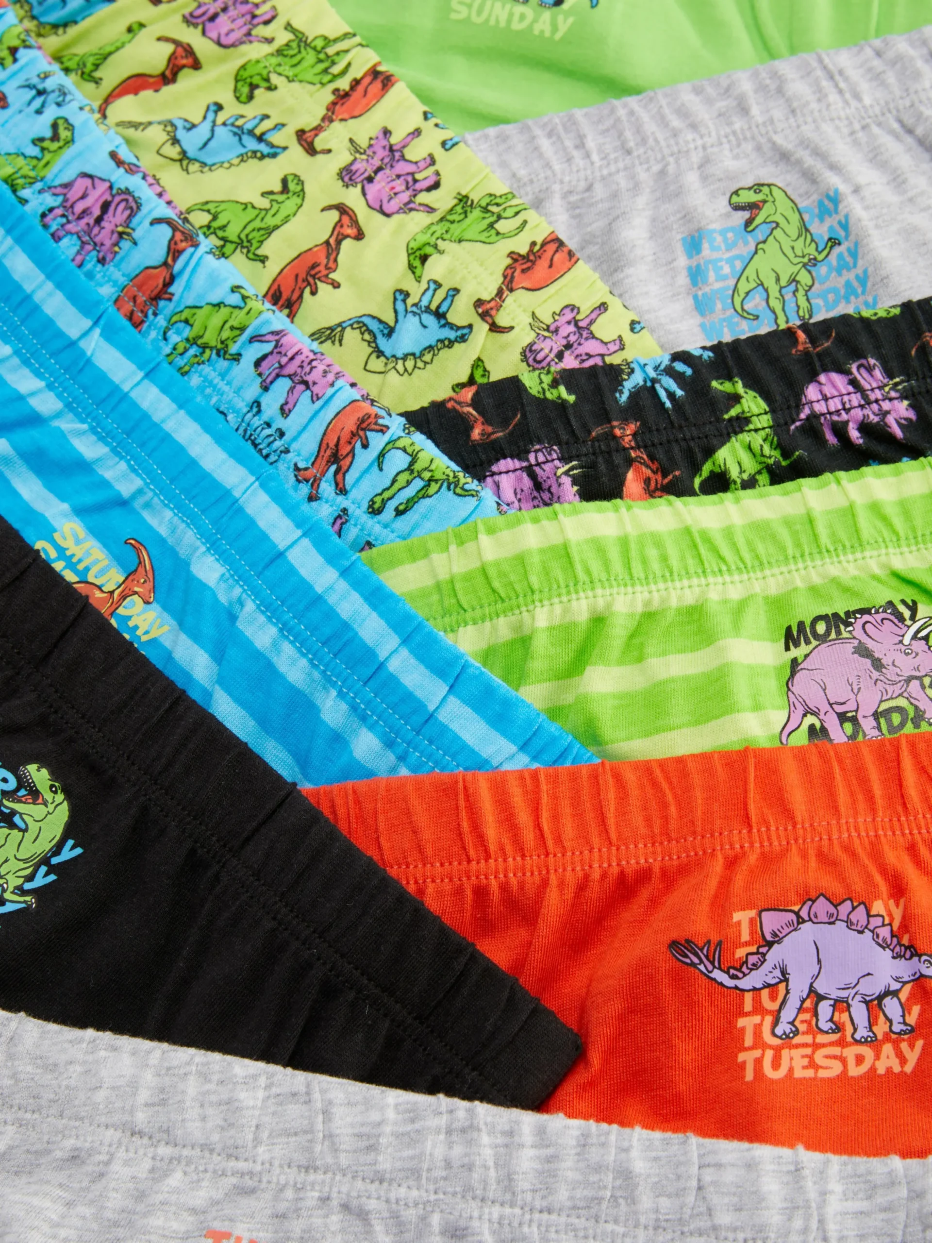 10-Pack Dinosaur Days Of The Week Briefs