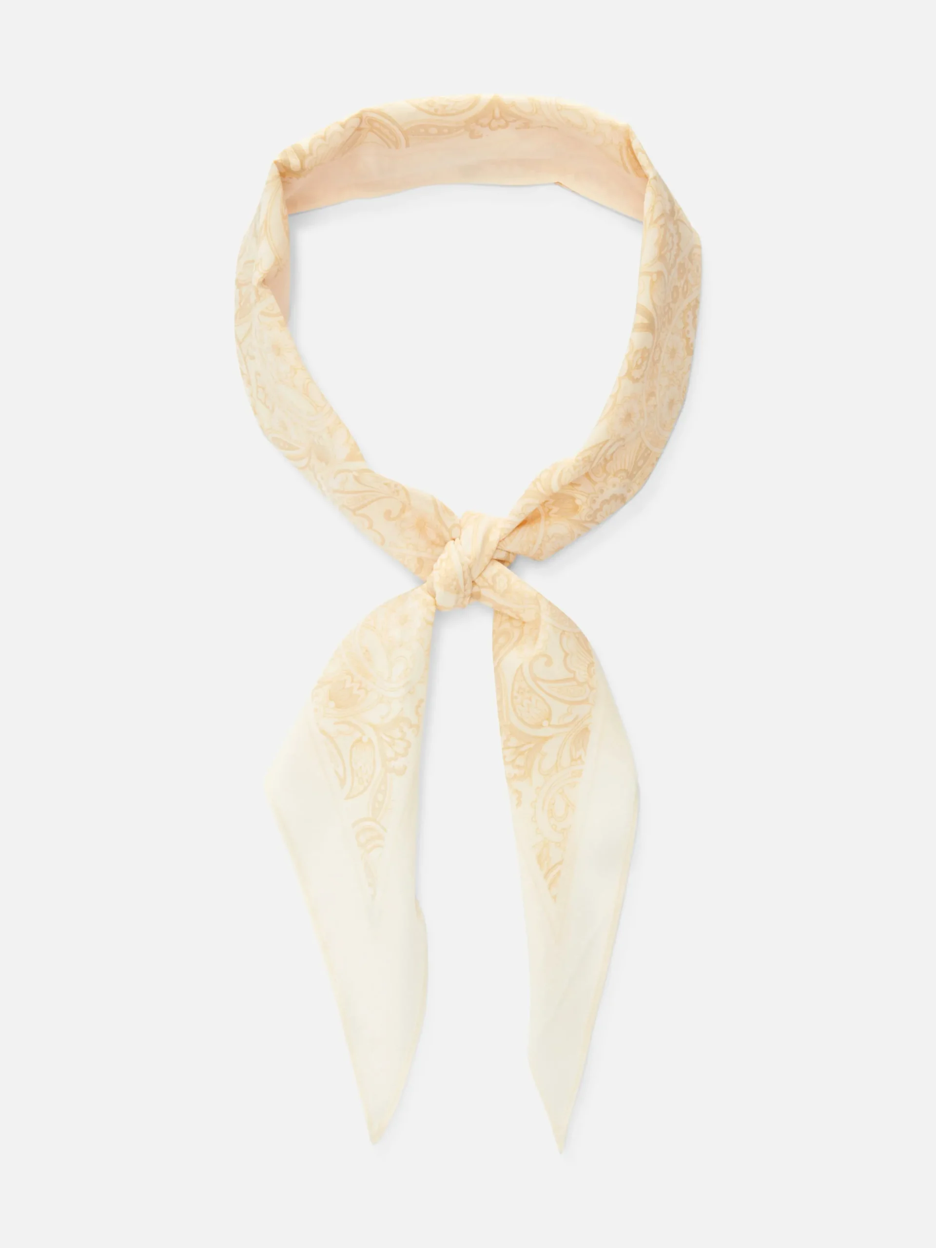 Paisley Print Scarf