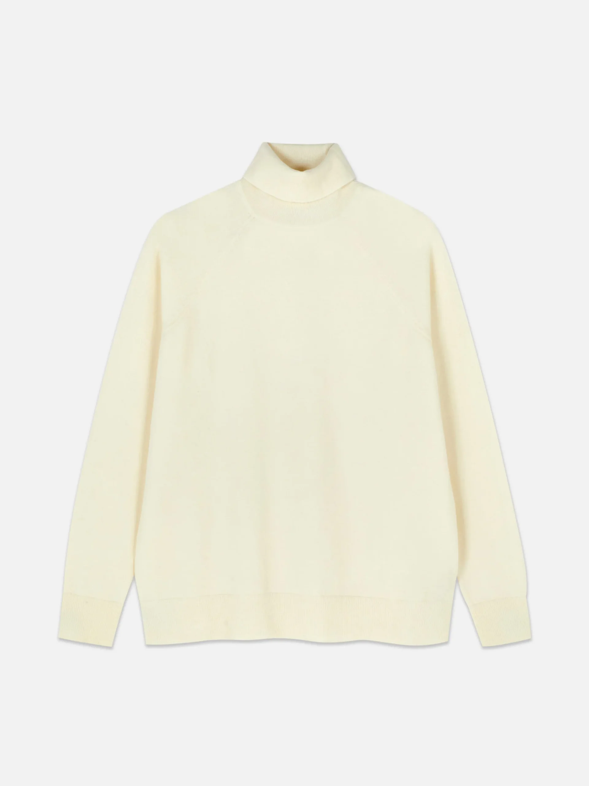 Roll Neck Long Sleeve Top