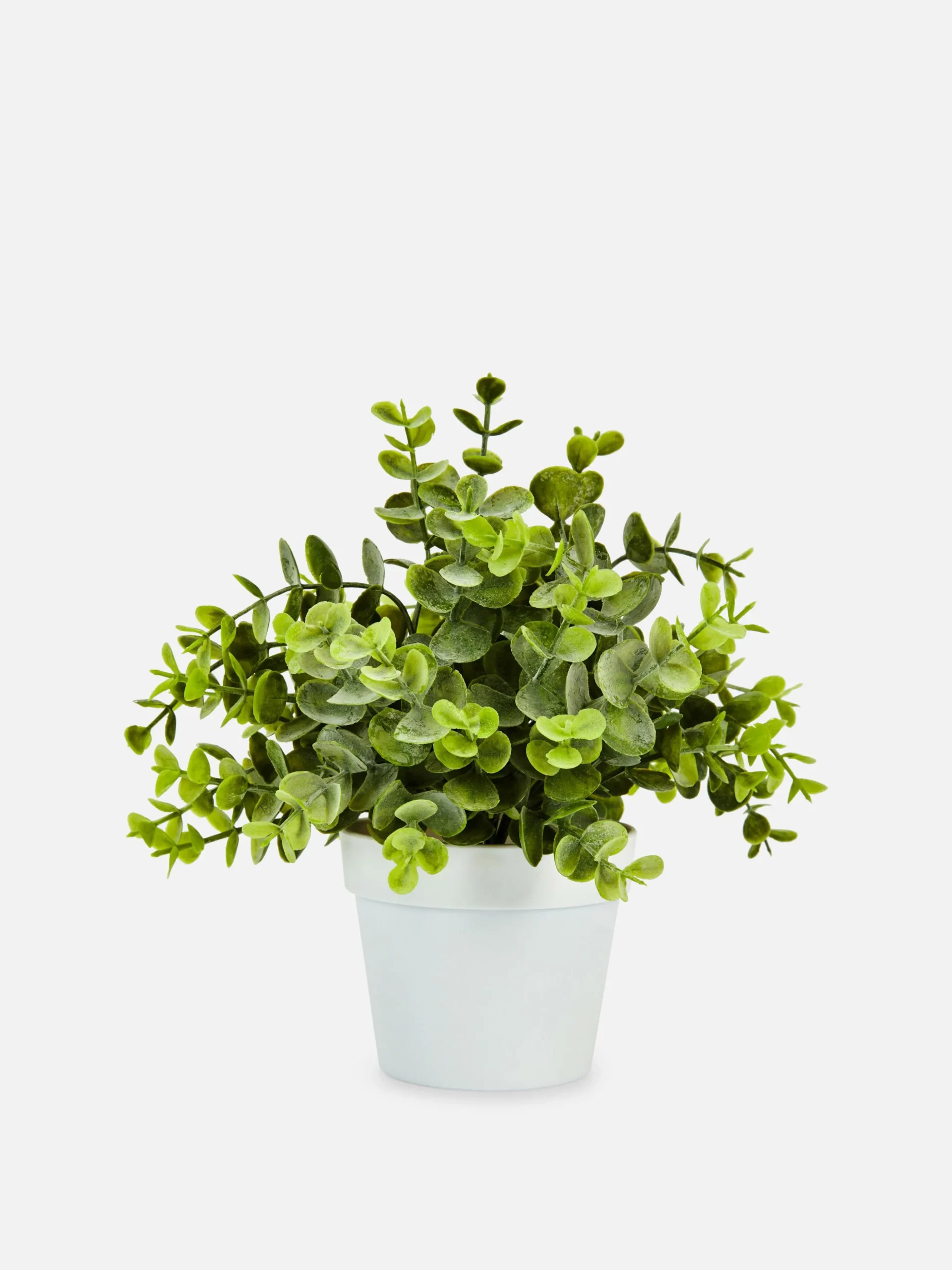 Small Faux Eucalyptus Plant