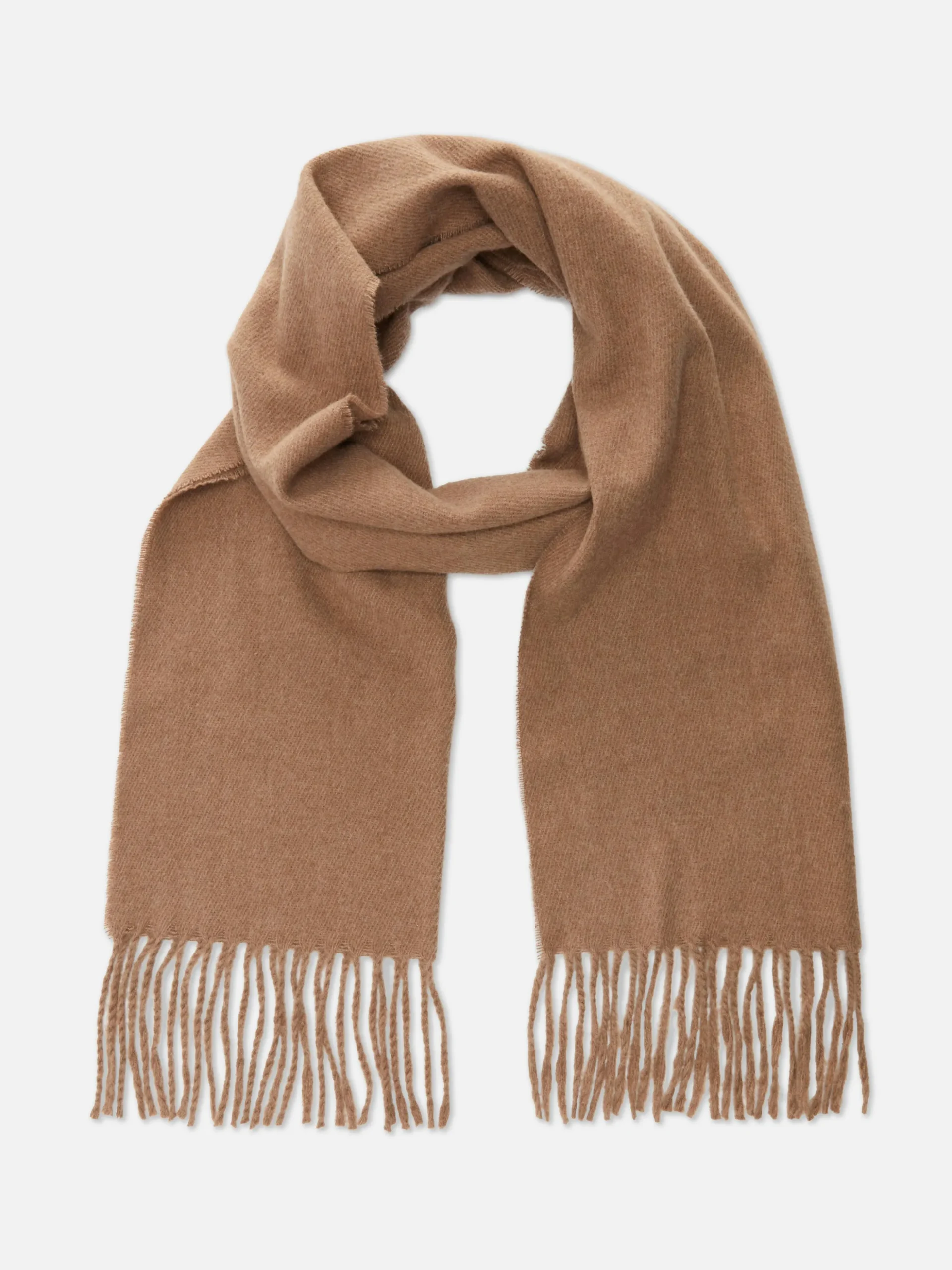 Tasseled Woven Scarf