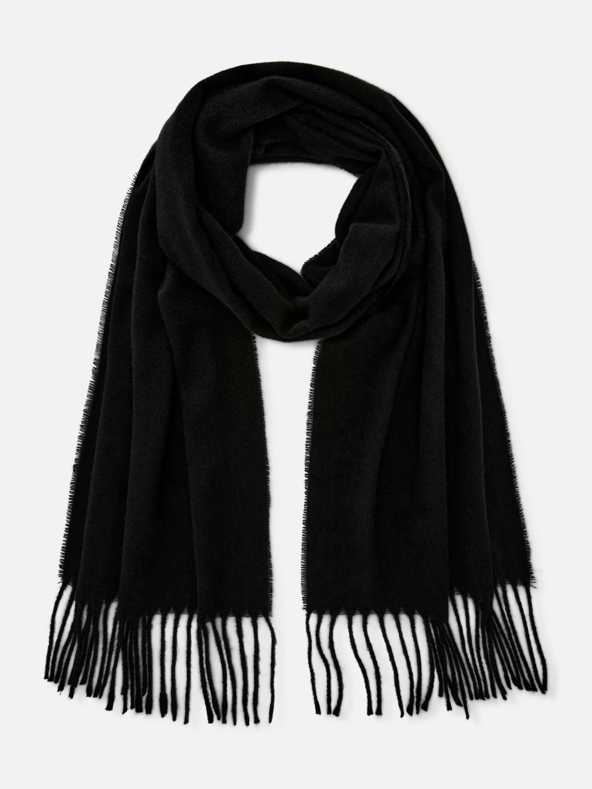 Tasseled Woven Scarf