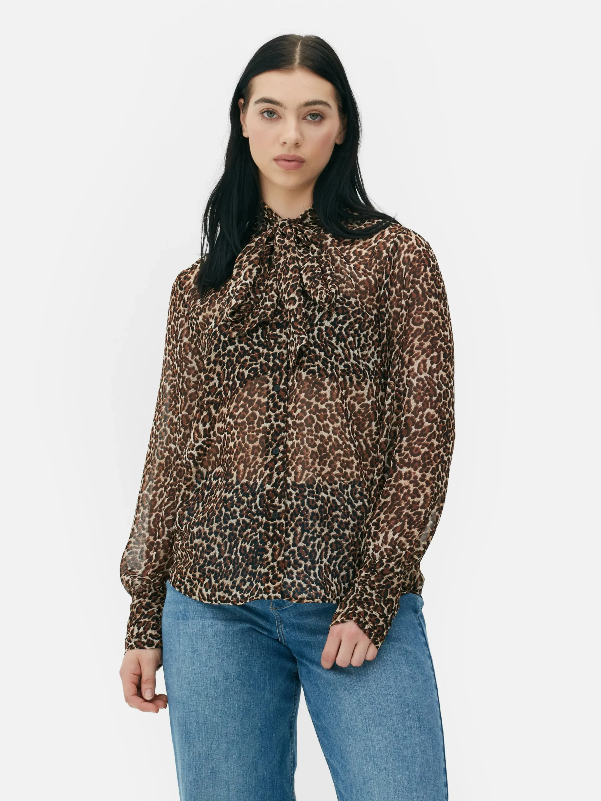 Tie Neck Blouse